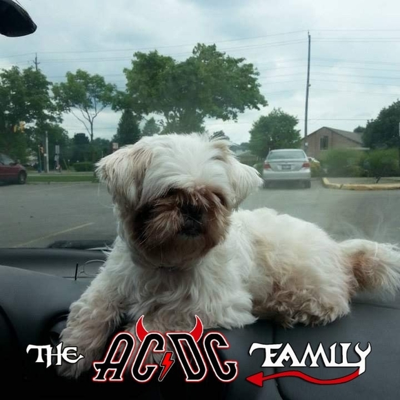 Profile Picture of Jeremy Nutt (@jere_nutt) on Poshmark