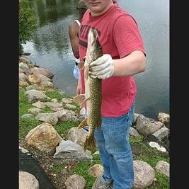 Profile Picture of Dylan Arndt (@dylanarndt999) on Twitter