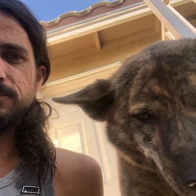 Profile Picture of Brian Havens (@BrianBussHavens) on Twitter