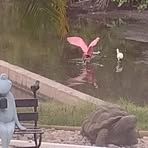 Profile Picture of Dawn Kittell (@dawn.kittell.3) on Facebook