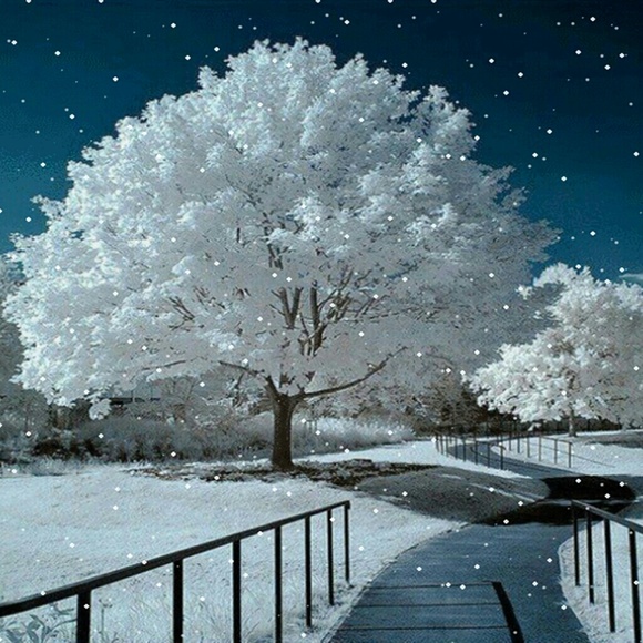 Helen Sheard - Poshmark Profile Picture of Helen Sheard (@blackberry111) on Poshmark