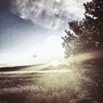 Profile Picture of Kerry Keener (@sei1akarpati) on Instagram