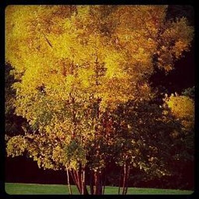 Profile Picture of Scott DuChene (@ScottDuChene) on Twitter