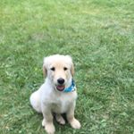 Profile Picture of Nolan (@nolan_duncan333) on Instagram