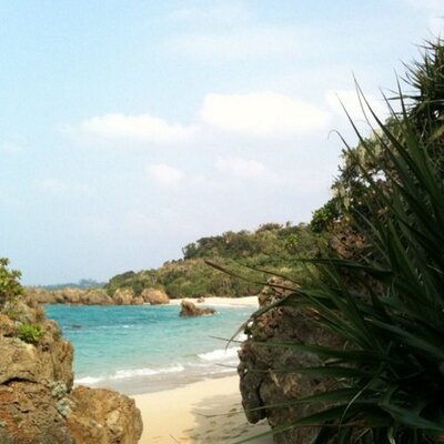 Profile Picture of Tom Veal (@TomVeal1) on Twitter