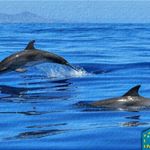 Profile Picture of Lorin Wittwer (@wittwer_lorin) on Instagram