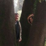 Profile Picture of Mairead O Doherty (@odohertymairead) on Instagram