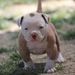 Profile Picture of Alexis Sayers (@alexissayers) on Pinterest
