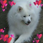 Profile Picture of Phyllis Gallagher (@phyllis.gallagher.549) on Instagram
