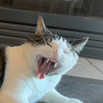 Profile Picture of Clint Byers (@clintb6) on Instagram