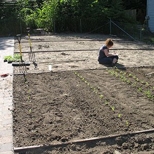 Profile Picture of Monica Ramirez (@EnvSci_G_Roots) on Twitter