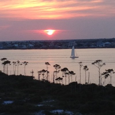 Profile Picture of Bob Shearer (@jrshearer1) on Twitter