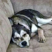 Profile Picture of Debbie Schultz (@debbieschultz1448) on Youtube