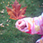 Profile Picture of Alex & Sam - A Kids' Perspective (@alex & sam - a kids' perspective) on Flickr