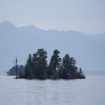 Profile Picture of Cindy Reed (@CindyLingo) on Twitter