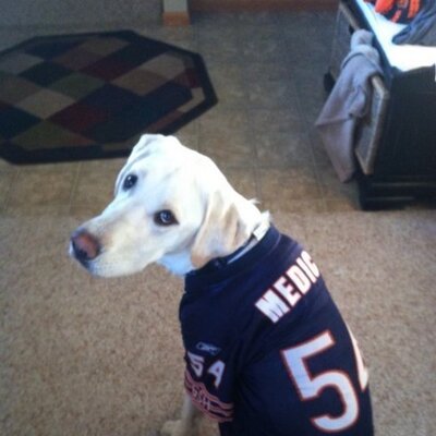 Profile Picture of Mike Medick (@medman2344) on Twitter