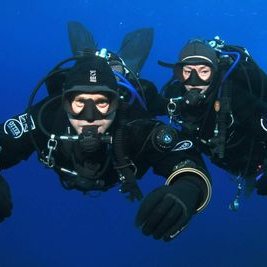 Profile Picture of Paul Eley (@paul_divemonkey) on Twitter