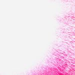 Gang Gang - Instagram Profile Picture of Gang Gang (@chris_.rivera) on Instagram