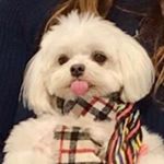 Profile Picture of Michaela Maria Schindler (@michaela_maria_schindler) on Instagram