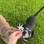 Profile Picture of Danielle Stribling (@Danielle-Stribling) on Facebook