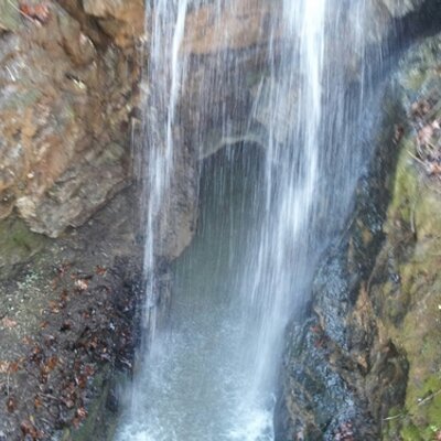 Profile Picture of April Franks (@AprilFranks2) on Twitter