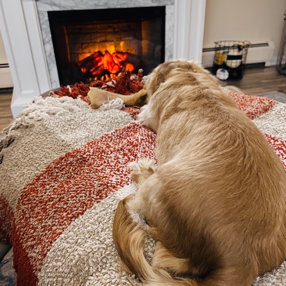 Tori Short - Poshmark Profile Picture of Tori Short (@toriandcollege) on Poshmark