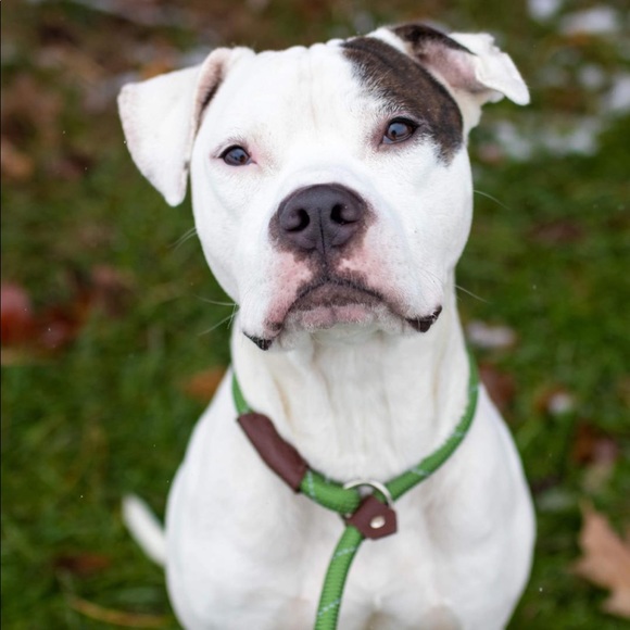 Profile Picture of Ddylan Unkel (@dunkelxson) on Poshmark