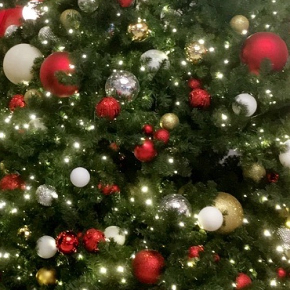 Profile Picture of Cali Cali (@twinkle_star123) on Poshmark