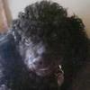 Profile Picture of Judith L Gould (@@judithlgould) on Tiktok