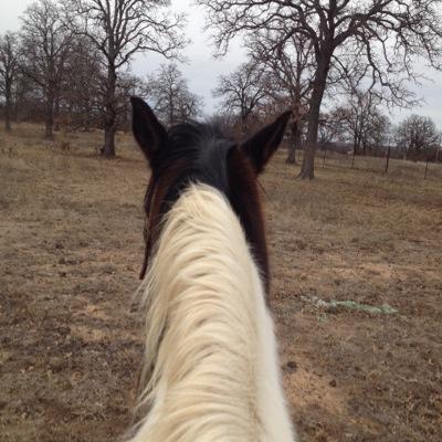 Profile Picture of Bailey (@ogle_bailey) on Twitter