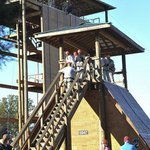 Profile Picture of Whitney Nolan (@whitneynolan) on Instagram