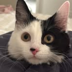 Profile Picture of James Hately (@james.hatelywilliams) on Facebook