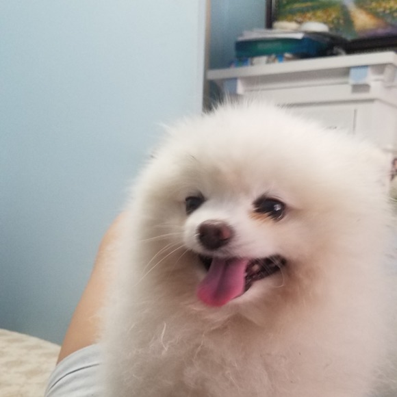 Profile Picture of Lannon Chung (@luxlord) on Poshmark