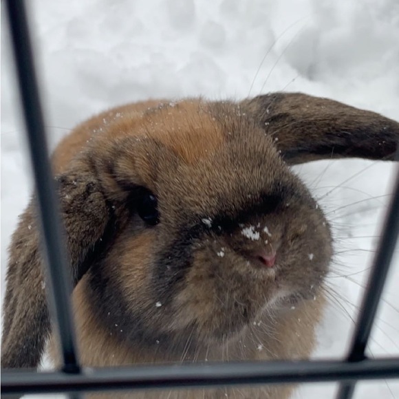 Profile Picture of Kassidy Krocker (@kassidykrocker) on Poshmark