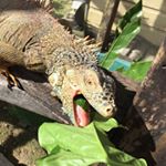 Profile Picture of James Branch (@james.branch5) on Instagram