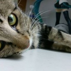 Profile Picture of Mandy Wu (@MwMandywu) on Twitter