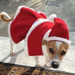 Profile Picture of Kenneth Cai (@kennyandbaebs) on Instagram