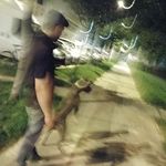 Profile Picture of Ádám Schreiber (@schreiberadam) on Instagram