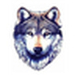Profile Picture of Mariela Wolf (@Mariela Wolf) on Flickr