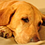 Profile Picture of Mw Gibbs (@mw gibbs) on Flickr