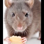 Harvey Jessup - Instagram Profile Picture of Harvey Jessup (@harveyjessup) on Instagram