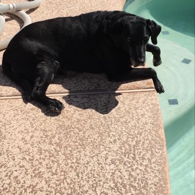 Profile Picture of Christopher Orso (@ChristopherOrso) on Twitter