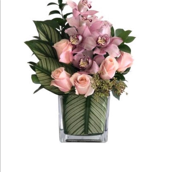 Profile Picture of Hien Do (@hiendo7393) on Poshmark