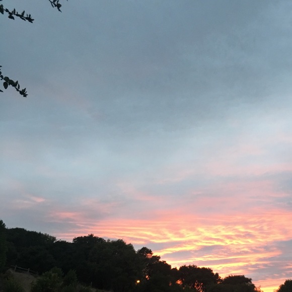 Profile Picture of Logan Boyer (@triplesmile91) on Poshmark