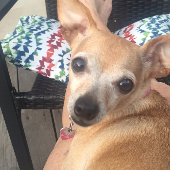 Profile Picture of Debby Watson (@dwatson2510) on Poshmark