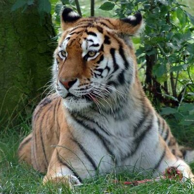 Profile Picture of Matthew Susman (@MatthewSusman) on Twitter