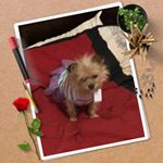 Profile Picture of Misty Kimbrough (@misty.kimbrough.3) on Instagram