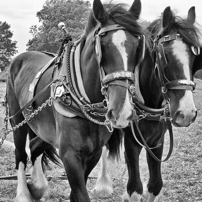 Profile Picture of Fredrick George (@fredrickgeorge0) on Twitter