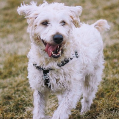 Profile Picture of Steve Lake (@LakeviewEnt) on Twitter