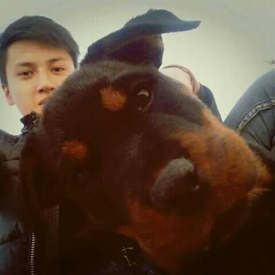 Profile Picture of Bayarbaatar (@g_bayarbaatar) on Twitter